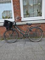 Altec urban damesfiets 26 inch classic omafiets, Ophalen, Zo goed als nieuw, Minder dan 10 versnellingen, Overige merken