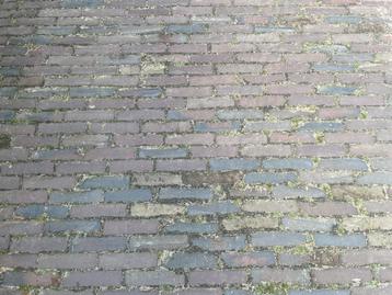 Oude gebakken Waalformaat rood-paars gen. uit het werk WOLZ beschikbaar voor biedingen