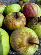 Appels biologisch geteeld, Diversen, Levensmiddelen, Ophalen of Verzenden