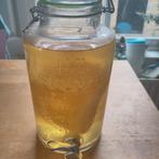 Medium dikke en 18cm brede Jun scoby voor 3 liter kombucha, Diversen, Levensmiddelen, Ophalen of Verzenden