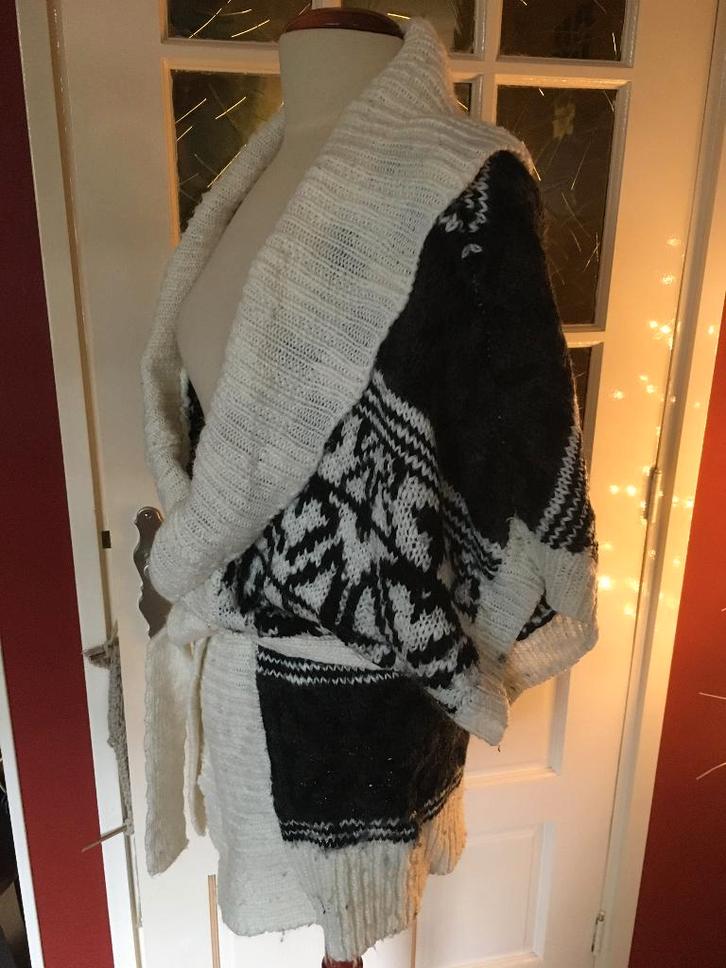 vest van Humane Nature, Kleding | Dames, Truien en Vesten, Zo goed als nieuw, Maat 38/40 (M), Zwart, Ophalen