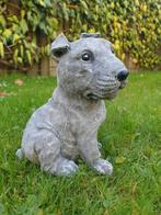 Staffordshire Bull Terrier , pitbull typ, Ophalen of Verzenden, Atw, Atw, Nieuw