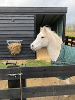 Stalling en weidegang, Stalling