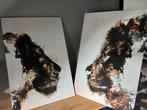 Canvas duo Lion- lioness, Ophalen, Zo goed als nieuw, Schilderij