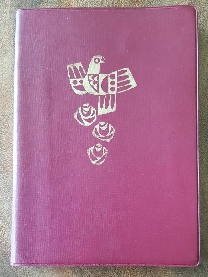Pelgrimsboekje Lourdes 1971, Verzamelen, Religie, Zo goed als nieuw, Christendom | Katholiek, Boek, Ophalen of Verzenden