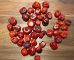 Set grote rode Jaspis kralen, Hobby en Vrije tijd, Ophalen of Verzenden, Nieuw, Kraal