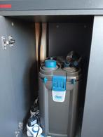 Oase biomaster 600 thermo, Ophalen, Zo goed als nieuw, Filter of Co2