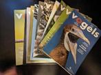 12 jaargangen Vogels, Boeken, Tijdschriften en Kranten, Zo goed als nieuw, Wetenschap en Natuur, Ophalen