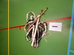 Net tbv tennis, badminton enz, Ophalen, Gebruikt