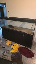 Aqarium onder kast, Dieren en Toebehoren, Vissen | Aquaria en Toebehoren, Ophalen, Gebruikt, Leeg aquarium