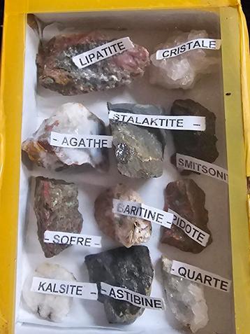Natureel Minirallen Collectie - Echt Origineel beschikbaar voor biedingen
