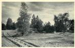 (380-091-021) Lutterzand, Verzenden, Overijssel