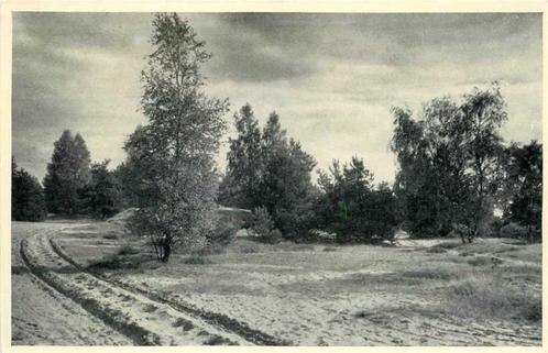 (380-091-021) Lutterzand, Verzamelen, Ansichtkaarten | Nederland, Overijssel, Verzenden