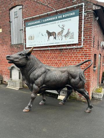 Prachtige GROTE bronzen stier levensechte grote beschikbaar voor biedingen