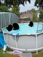 Gratis zwembad 366-100, Gebruikt, Rond, 300 cm of meer, Ophalen of Verzenden