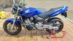 Honda CB 600 F Hornet, Particulier, Naked bike