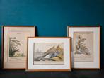 3 handgekleurde koper gravures van Johann Elias Ridin, Ophalen of Verzenden