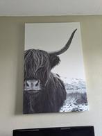 Canvas Schotse Hooglander, Huis en Inrichting, Ophalen, Zo goed als nieuw