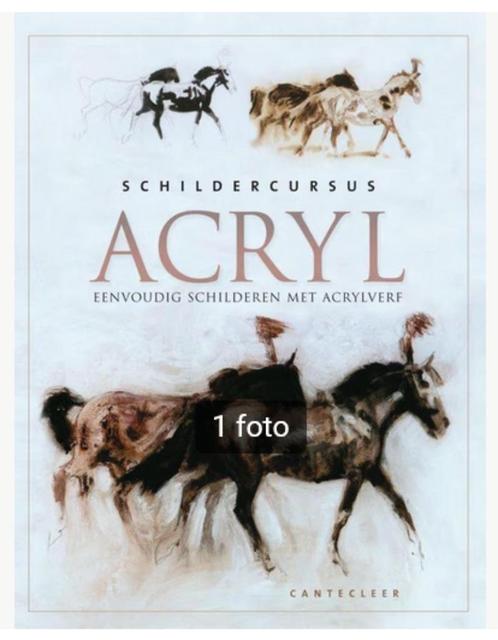 Schildercursus acryl - I. Buthod-Girard, Boeken, Hobby en Vrije tijd, Zo goed als nieuw, Tekenen en Schilderen, Ophalen of Verzenden