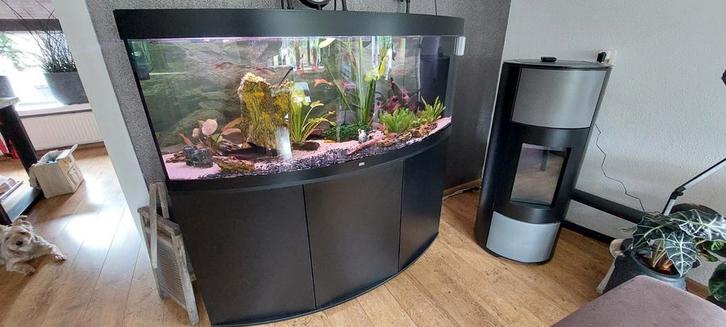 Aquarium Juwel vision 450 compleet, Dieren en Toebehoren, Vissen | Aquaria en Toebehoren, Zo goed als nieuw, Gevuld zoetwateraquarium