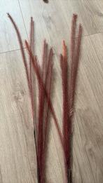 Kunst pluimen, Ophalen, Zo goed als nieuw