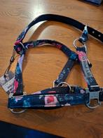 Hv polo halster cob flower, Dieren en Toebehoren, Ophalen of Verzenden, Nieuw, Overige soorten