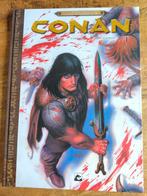 Cary Nord - De dochter van de ijsreus, Eén stripboek, Ophalen of Verzenden, Zo goed als nieuw, Cary Nord; Kurt Busiek; Thomas Yeates