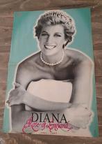 Poster: Prinses Diana - Rose of England - 1961-1997, Ophalen of Verzenden, Zo goed als nieuw, Rechthoekig Staand, Film en Tv