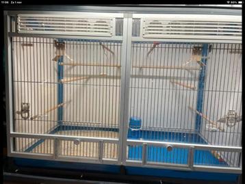 Degelijk vogelhok / kweekblok beschikbaar voor biedingen