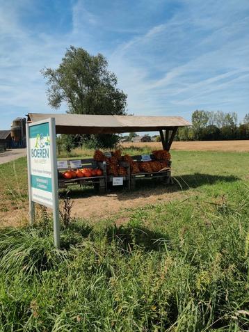 Pompoenen en uien beschikbaar voor biedingen