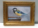 OPRUIMING schilderij koolmees met lijst - origineel cadeau, Ophalen of Verzenden