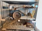 Grote hamsterkooi met goudhamster, Minder dan 60 cm, Kooi, Minder dan 75 cm, Ophalen of Verzenden
