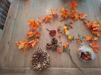 Herfstdecoratie - Alles voor 5 euro!, Ophalen of Verzenden, Gebruikt, Binnen