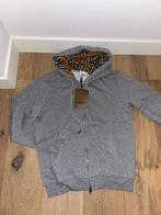 Burberry vest grijs Maat S-M nieuw, Kleding | Heren, Truien en Vesten, Maat 48/50 (M), Nieuw, Ophalen of Verzenden, Grijs