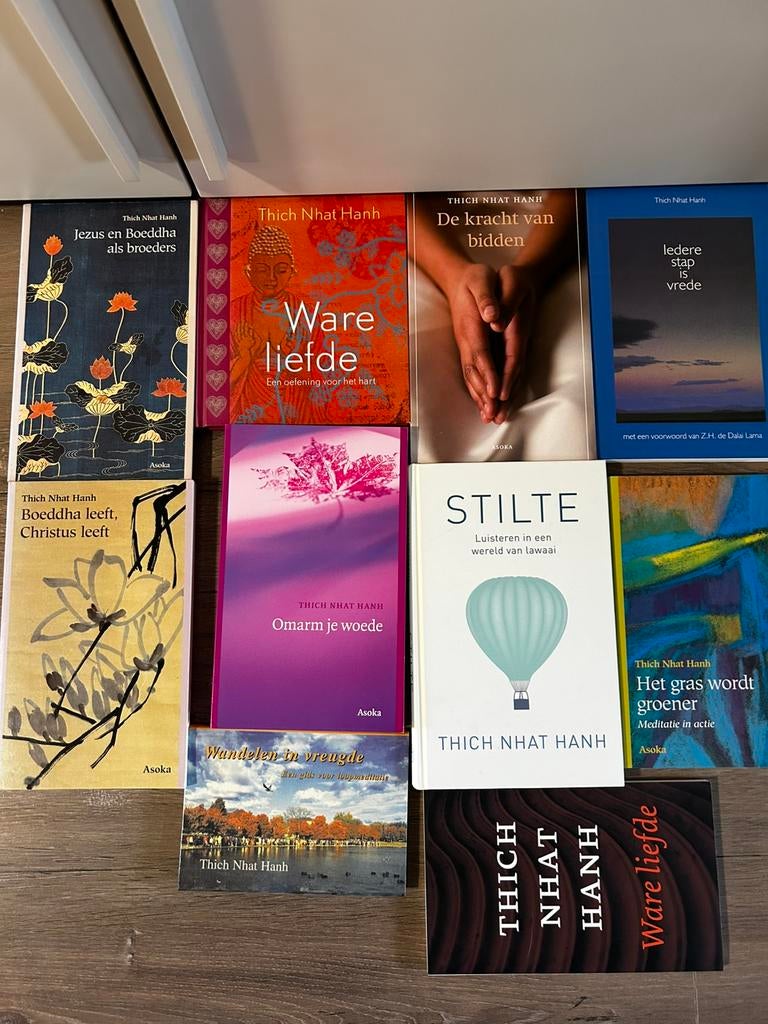 Thich Nhat Hahn - Omarm je woede nieuw, Boeken, Spiritualiteit algemeen, Nieuw, Ophalen of Verzenden, Thich Nhat Hahn