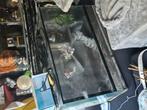 Terarium, Dieren en Toebehoren, Reptielen en Amfibieën | Toebehoren, Ophalen, Zo goed als nieuw
