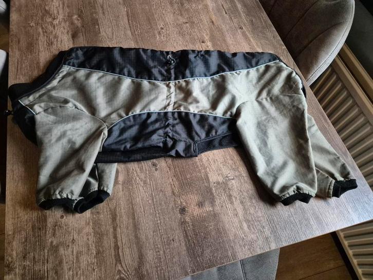 Hondenjas / skipak hond, Dieren en Toebehoren, Hondenkleding, Zo goed als nieuw, Hondenjas, Ophalen of Verzenden