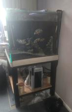 80 bij 80 aquarium met onderstel, Ophalen, Zo goed als nieuw, Leeg aquarium
