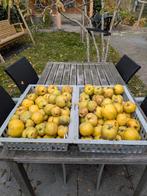 verse onbespoten kweeperen, Diversen, Levensmiddelen, Ophalen of Verzenden