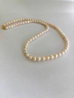 Parel Ketting Akoya Parels 4/5mm 14K Goud Minimalistisch, Ophalen of Verzenden, Nieuw, Goud