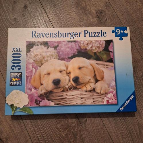 Ravensburger puzzel 300 XXL stukjes Honden Hondjes in Mand, Hobby en Vrije tijd, Denksport en Puzzels, Zo goed als nieuw, Legpuzzel