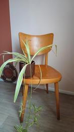 Vintage houten eetkamerstoel, Huis en Inrichting, Stoelen, Ophalen, Gebruikt, Bruin, Eén
