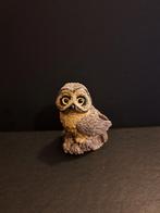 Schattig uiltje met prachtige blik, Ophalen of Verzenden, Zo goed als nieuw, Dier