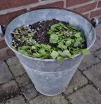 Zinken emmer, Tuin en Terras, Bloembakken en Plantenbakken, Ophalen, Overige materialen, Gebruikt, Minder dan 30 cm