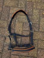 Leuk grijs halster met oranje details, maat cob, Dieren en Toebehoren, Paarden en Pony's | Hoofdstellen en Tuigage, Ophalen of Verzenden