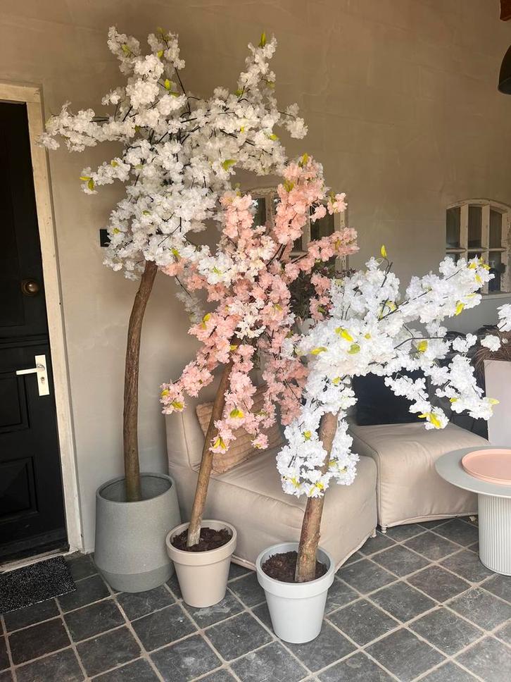 3 leuke bloesem boompjes zijde, Huis en Inrichting, Woonaccessoires | Kunstplanten en Kunstbloemen, Nieuw, Ophalen