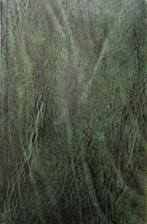 De Spartanen. Legende en werkelijkheid, Ophalen of Verzenden, Zo goed als nieuw, Europa