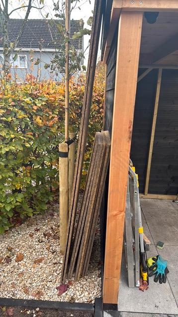 Houten Platen - Tijdelijk Pad Tuin beschikbaar voor biedingen