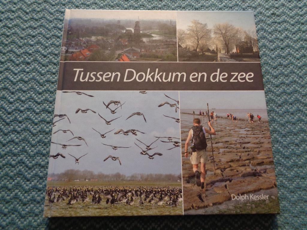 Tussen Dokkum en de zee - Dolph Kessler, Boeken, Nieuw, Ophalen of Verzenden, Friesland, Dolph Kessler
