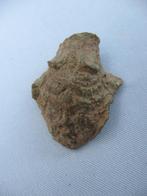 Romeins goden apliek brons - ca. 2000 jaar oud - bodemvondst, Antiek en Kunst, Antiek | Koper en Brons, Ophalen of Verzenden, Brons